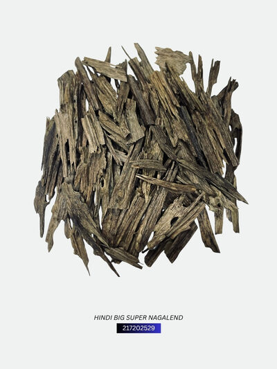 Hindi Big Super Nagalend