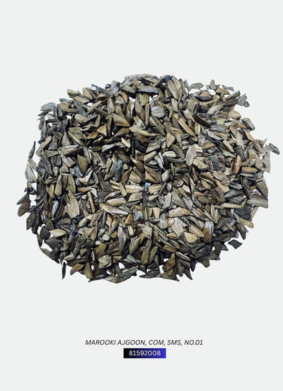 Marooki Ajgoon, COM, SMS, No.01