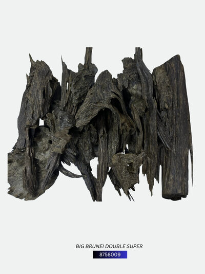 Big Brunei Double Super