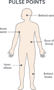 fragrance oil pulse point application guide wrist neck behind ears
