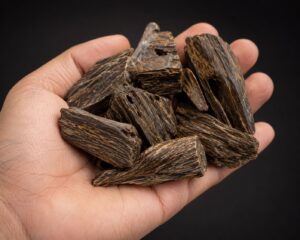 Moori Vietnam agarwood natural dense chunks high resin Dubai
